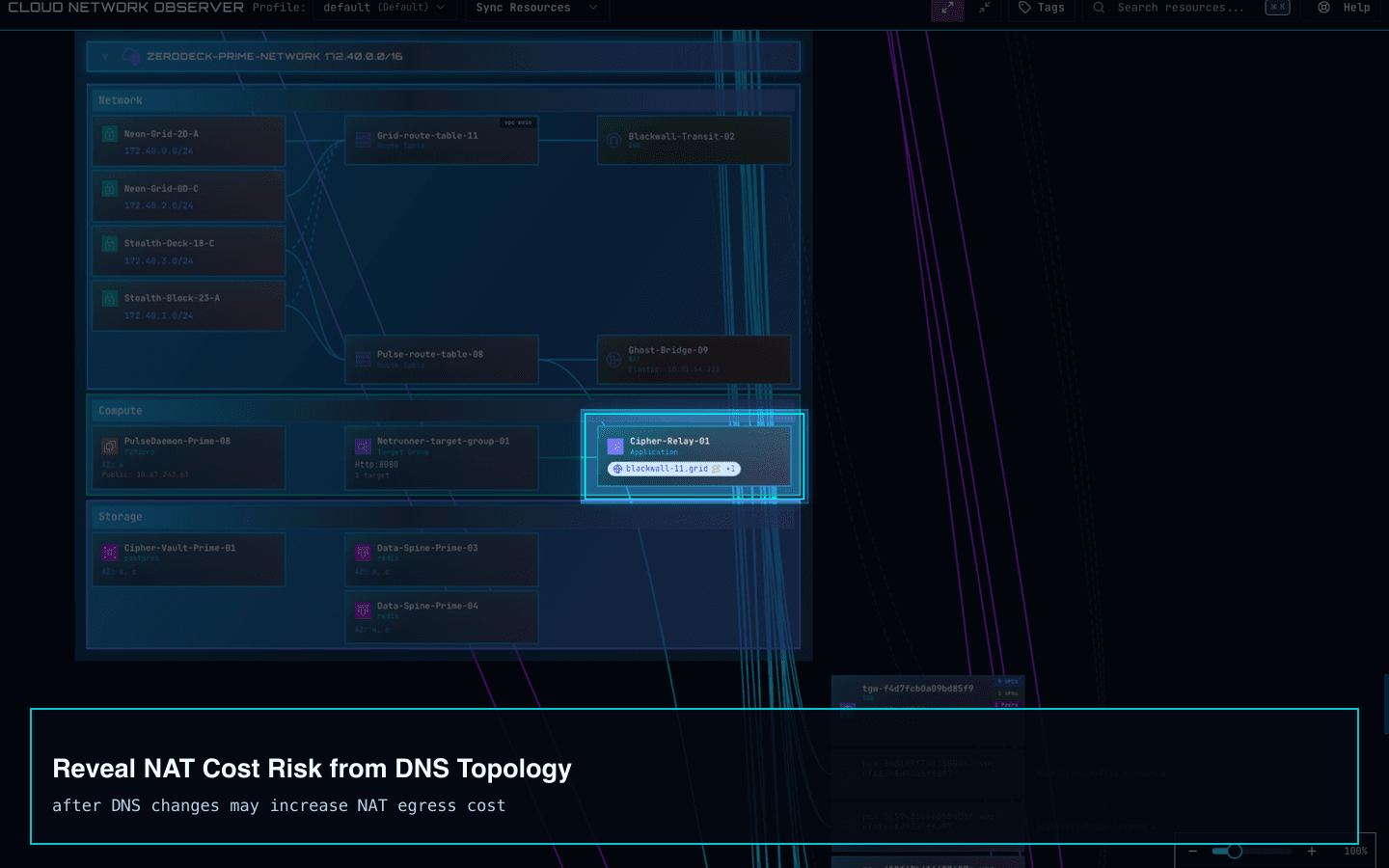Cloud Network Observer screenshot showing NAT cost risk from DNS topology.